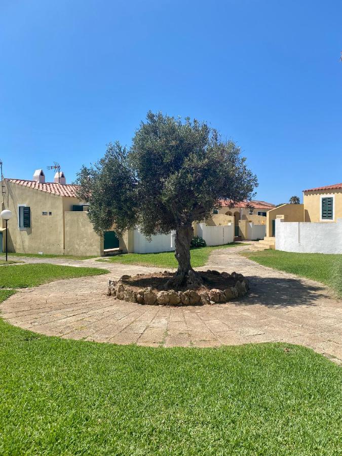 Apartamento 7 Palmeras 休达德亚 外观 照片